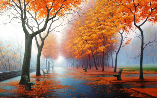 502111 (a): :1440x900